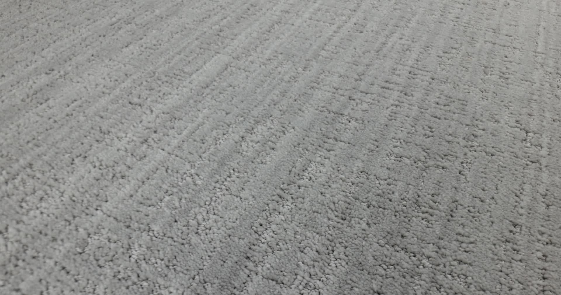 SHADY STROLL BLUE SKY 360PROD