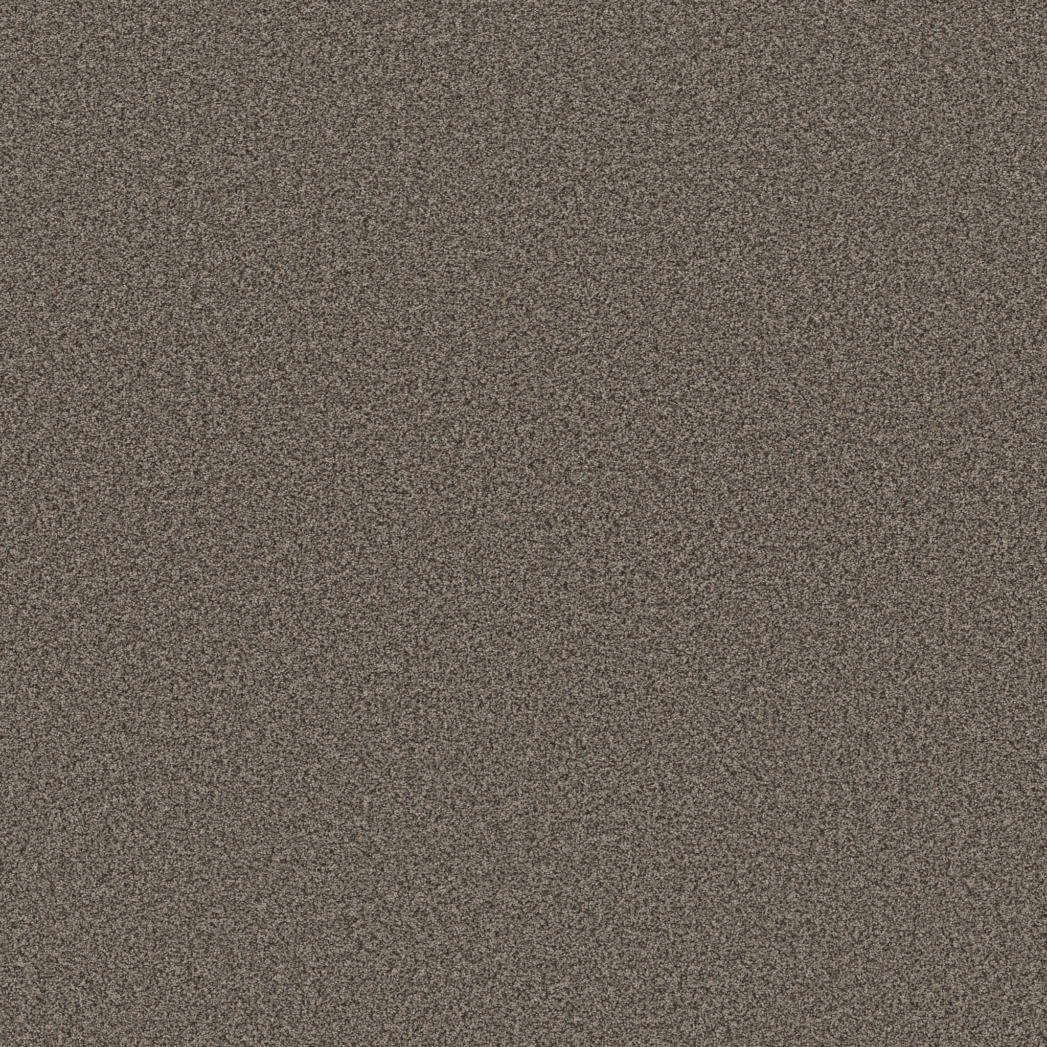 AVALON BAY SABLE MAIN