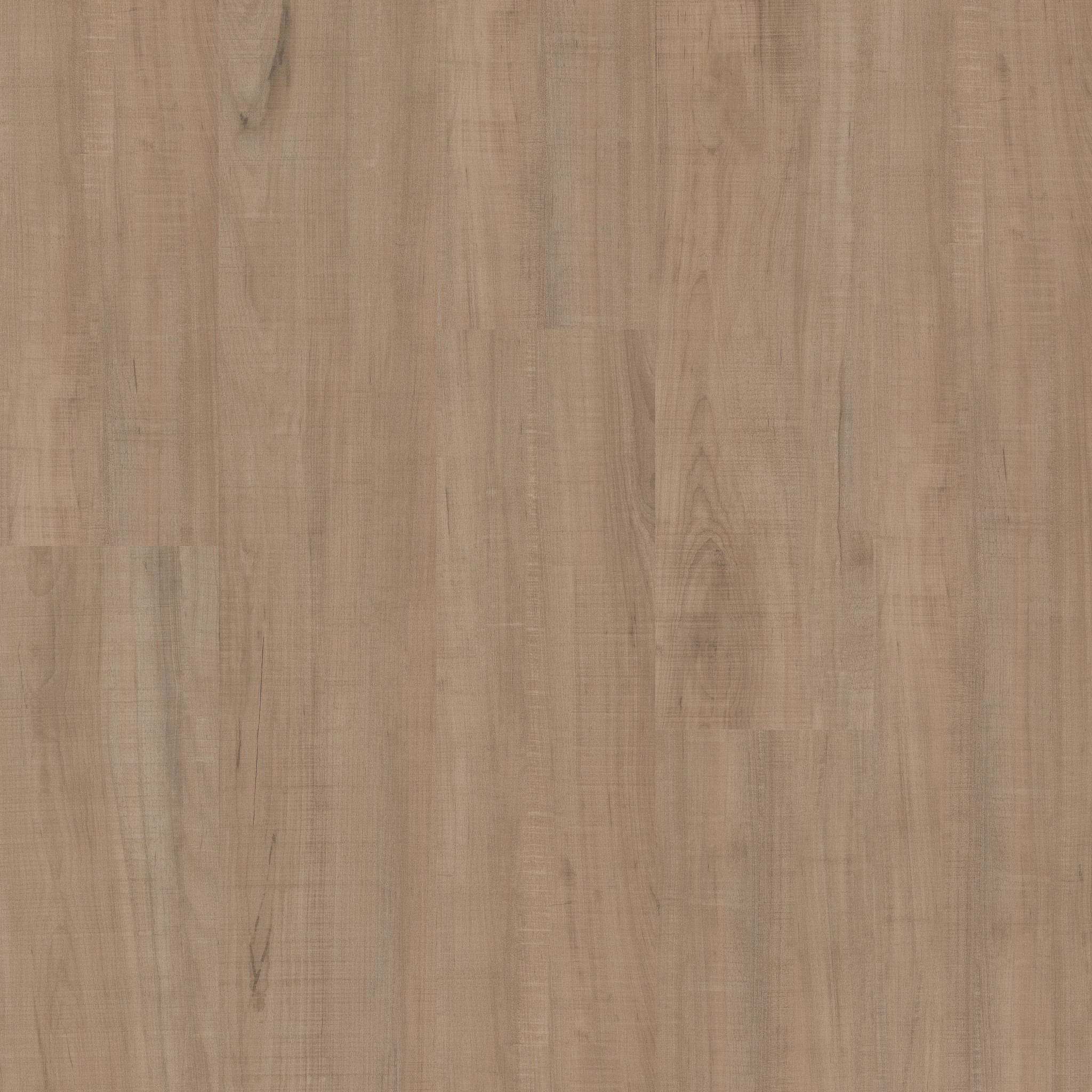 ANVIL PLUS 20 MIL CHATTER OAK MAIN