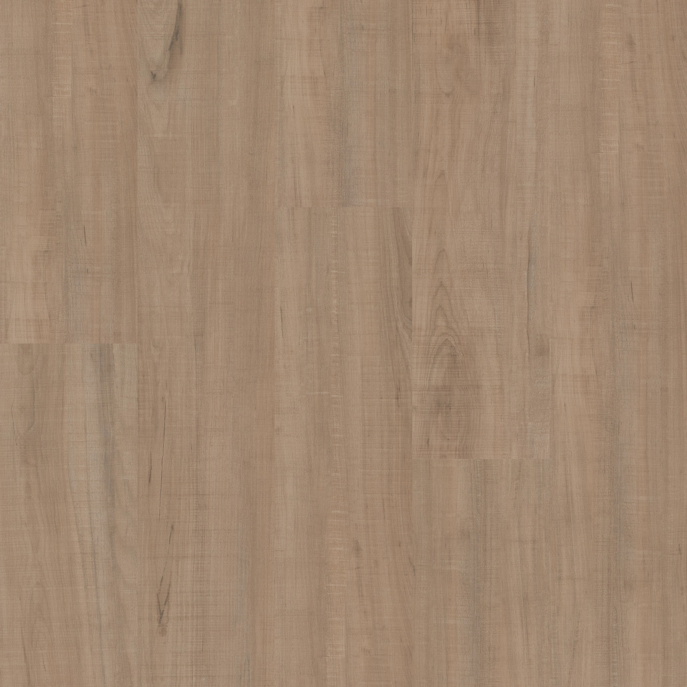 Chatter Oak, the manufacturer's video
