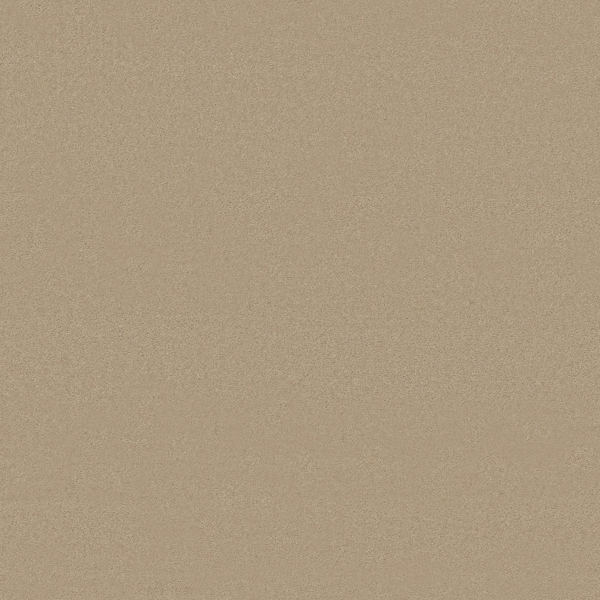 FINERY TOASTED ALMOND MAIN