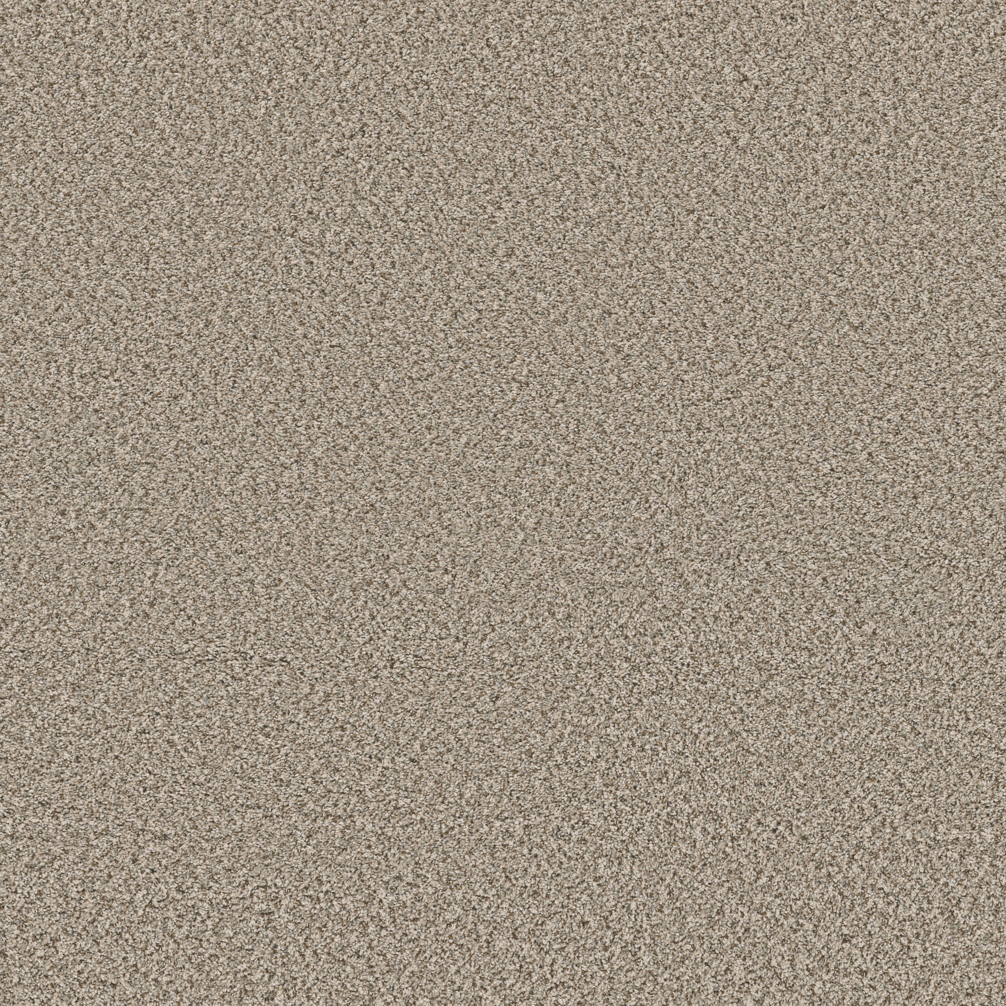 FEELIN' ALRIGHT FLAX MAIN