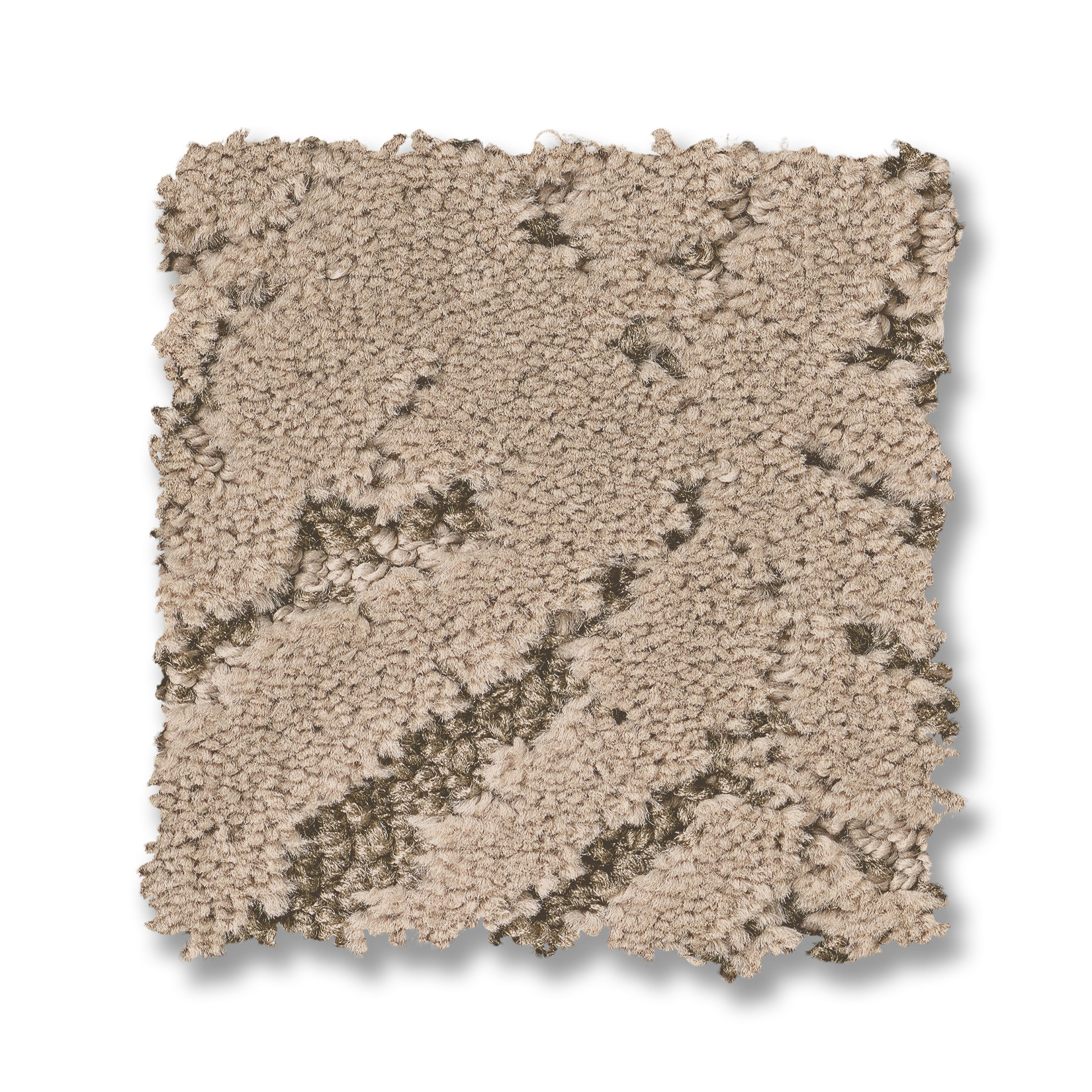 AUTOGRAPH CHAMPAGNE TOAST SWATCH