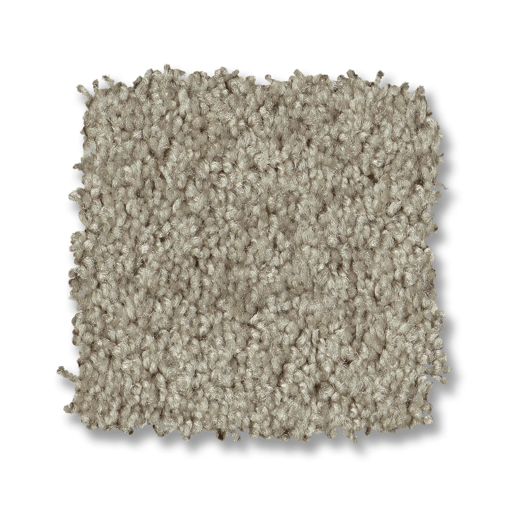 PARLAY ABALONE SWATCH