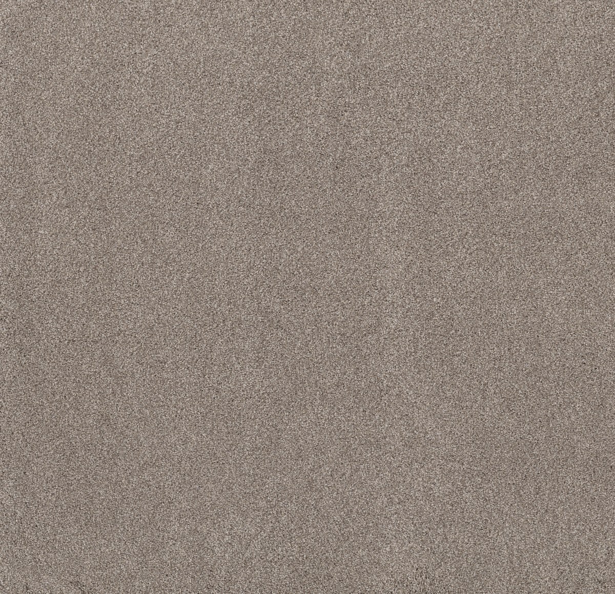 Shaw Floors Live on Comfort — AFTERGLOW