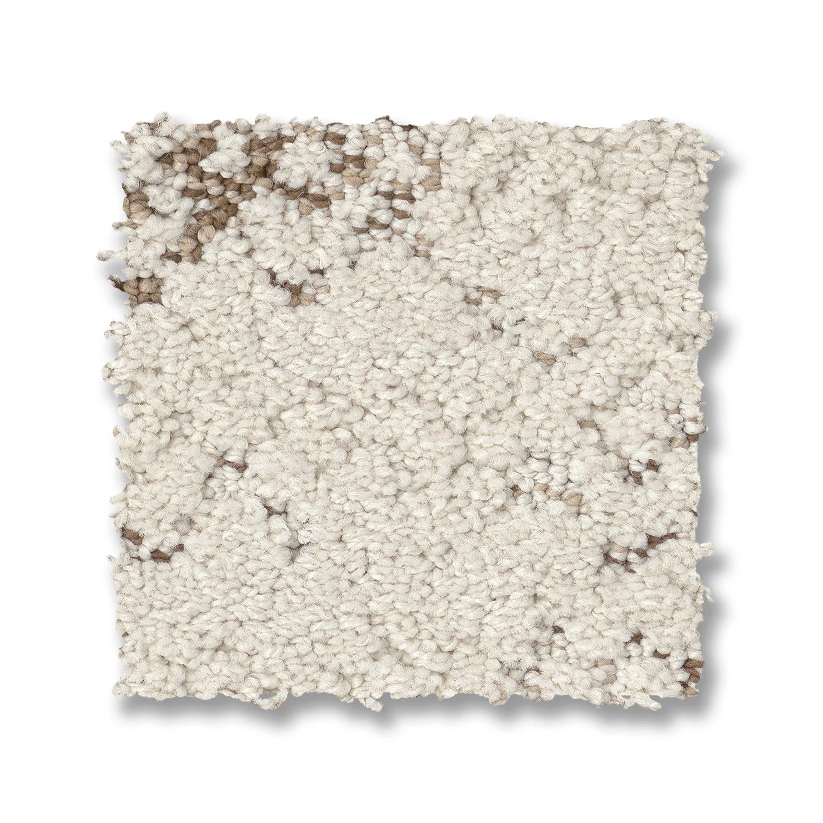 EVOKE VINTAGE FIND SWATCH