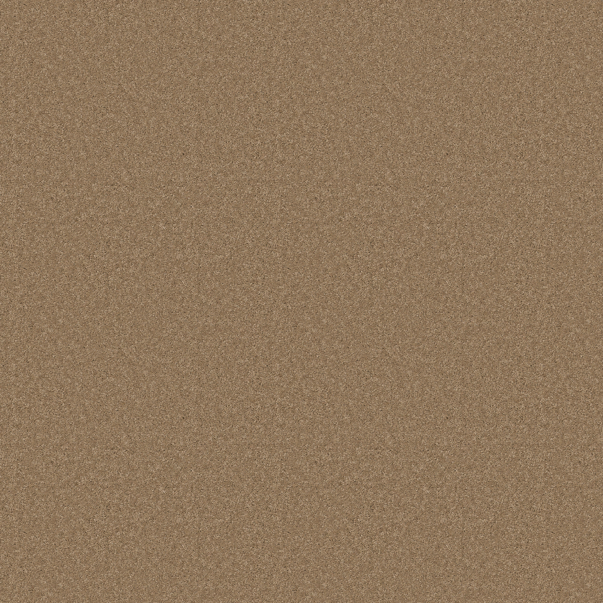 ENDURING CHARM PRAIRIE MAIN