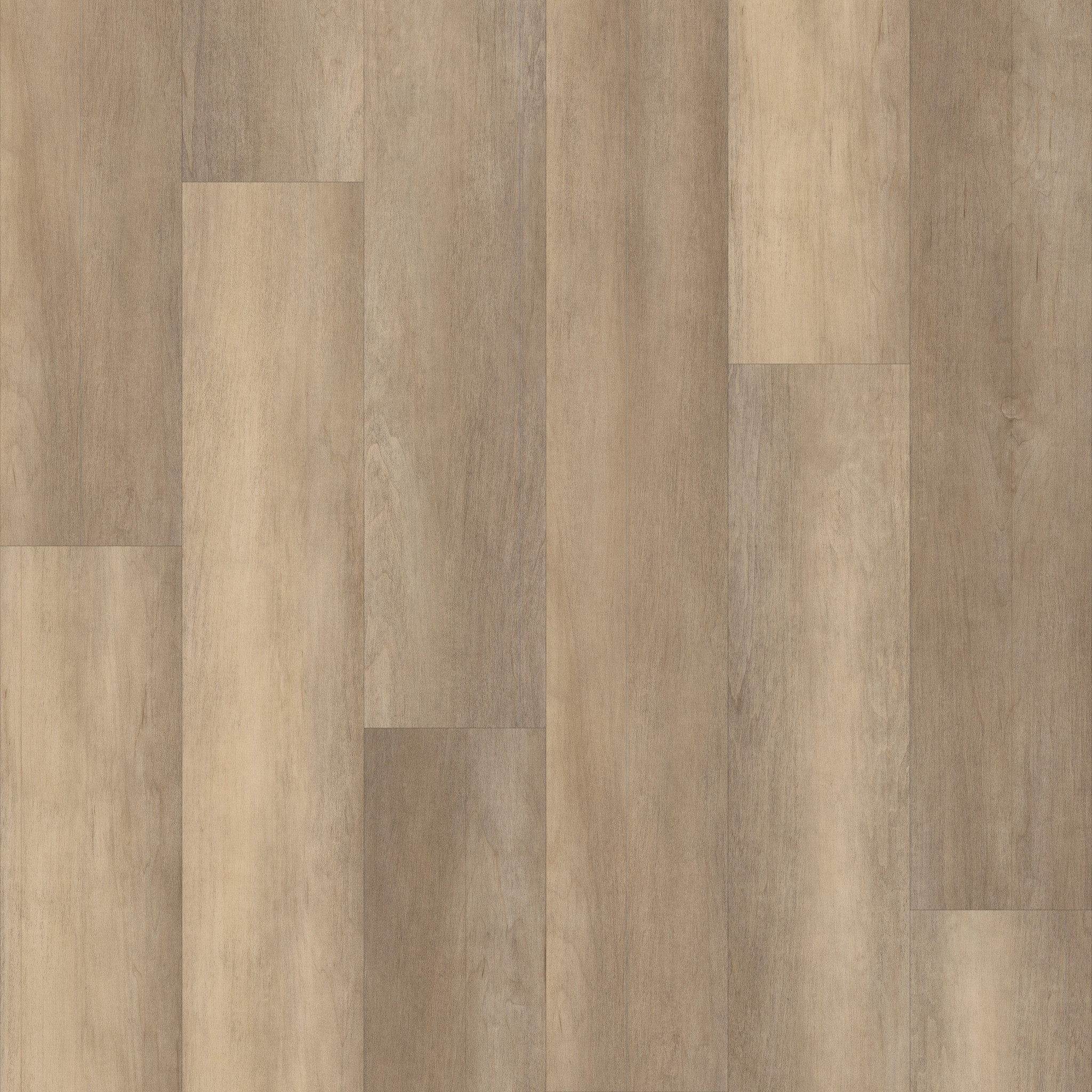 PHILOSOPHER'S-TREE-5599V-HONEYCOMB-00102-main-image