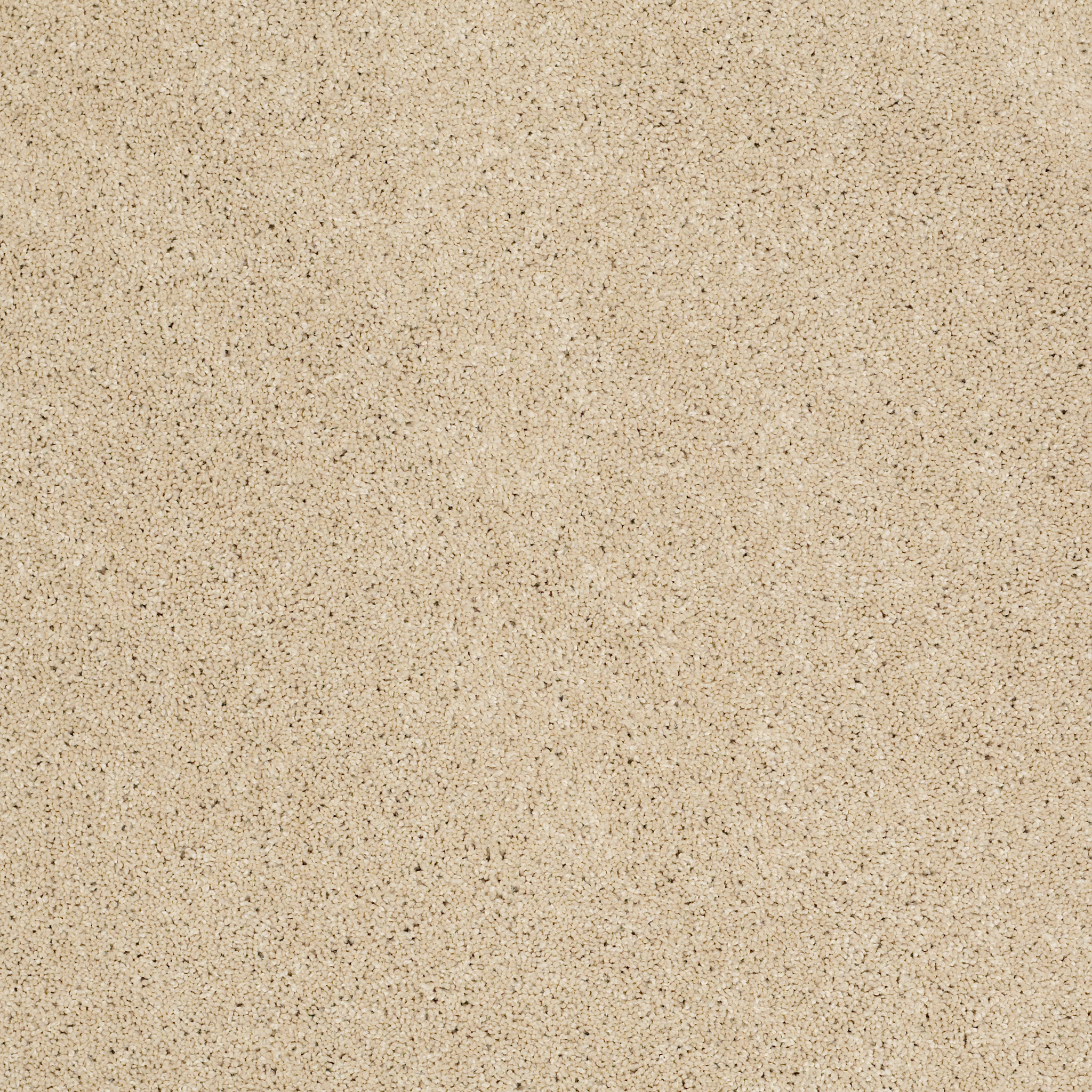 WHY NOT ME WARM GLOW MAIN