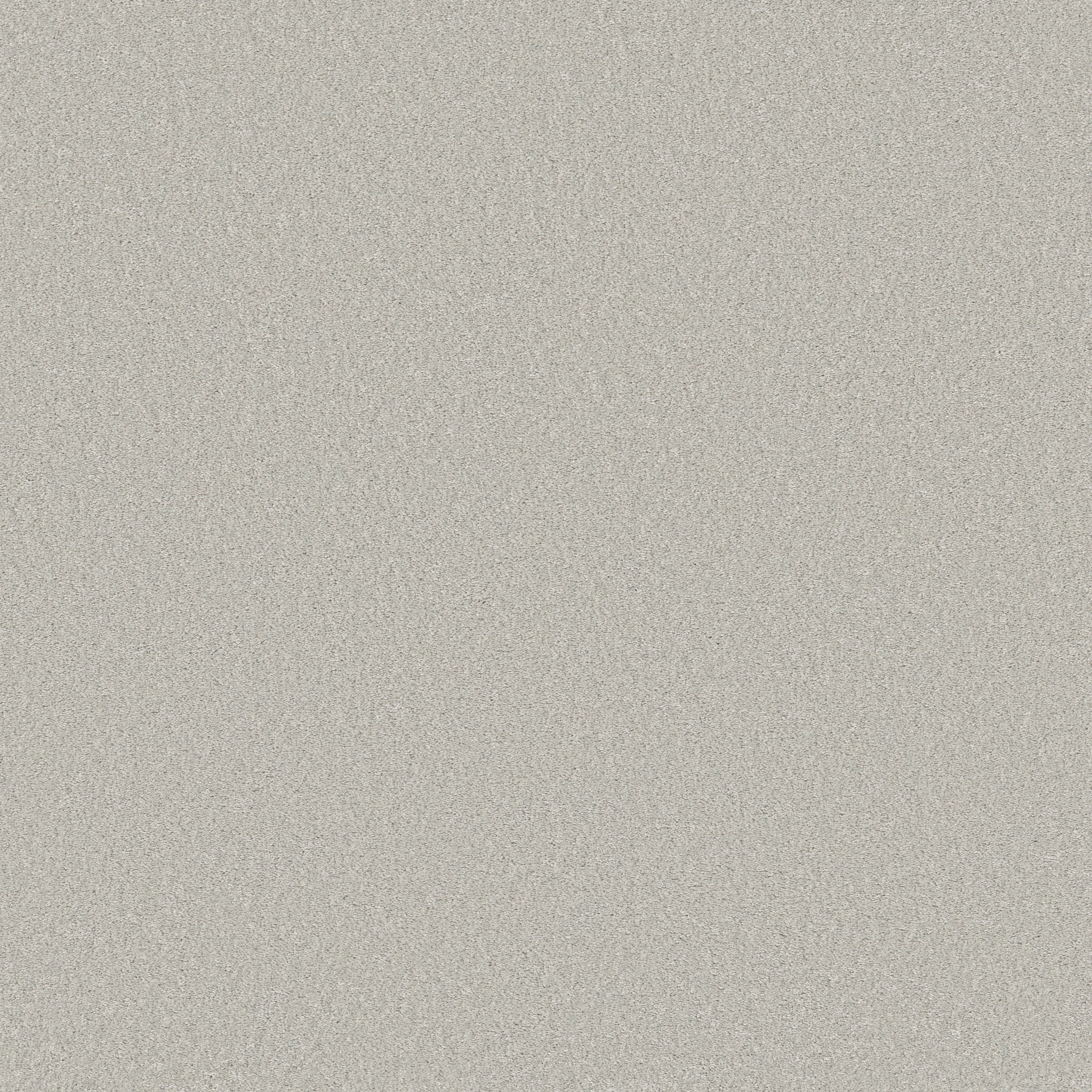 WAY TO GO II MISTY MAIN