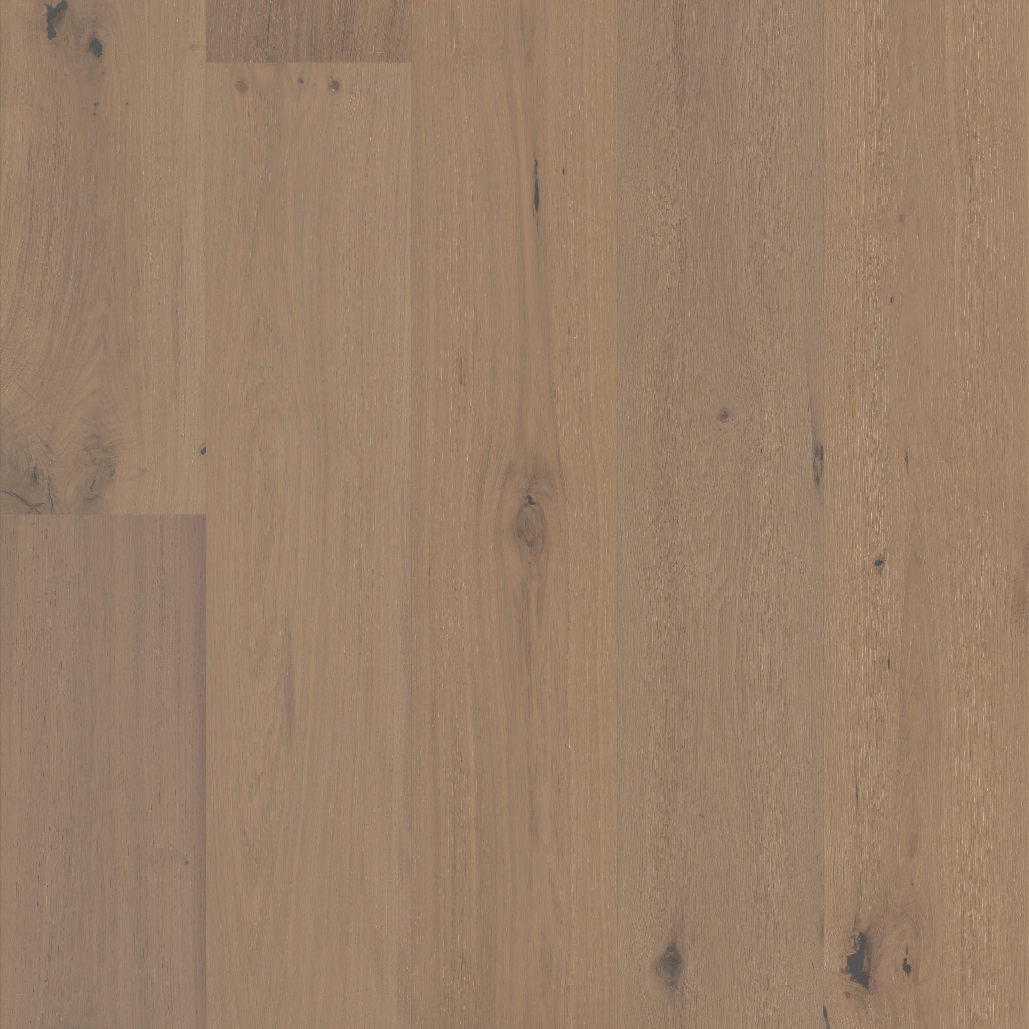 CHATEAU OAK PARLOR MAIN