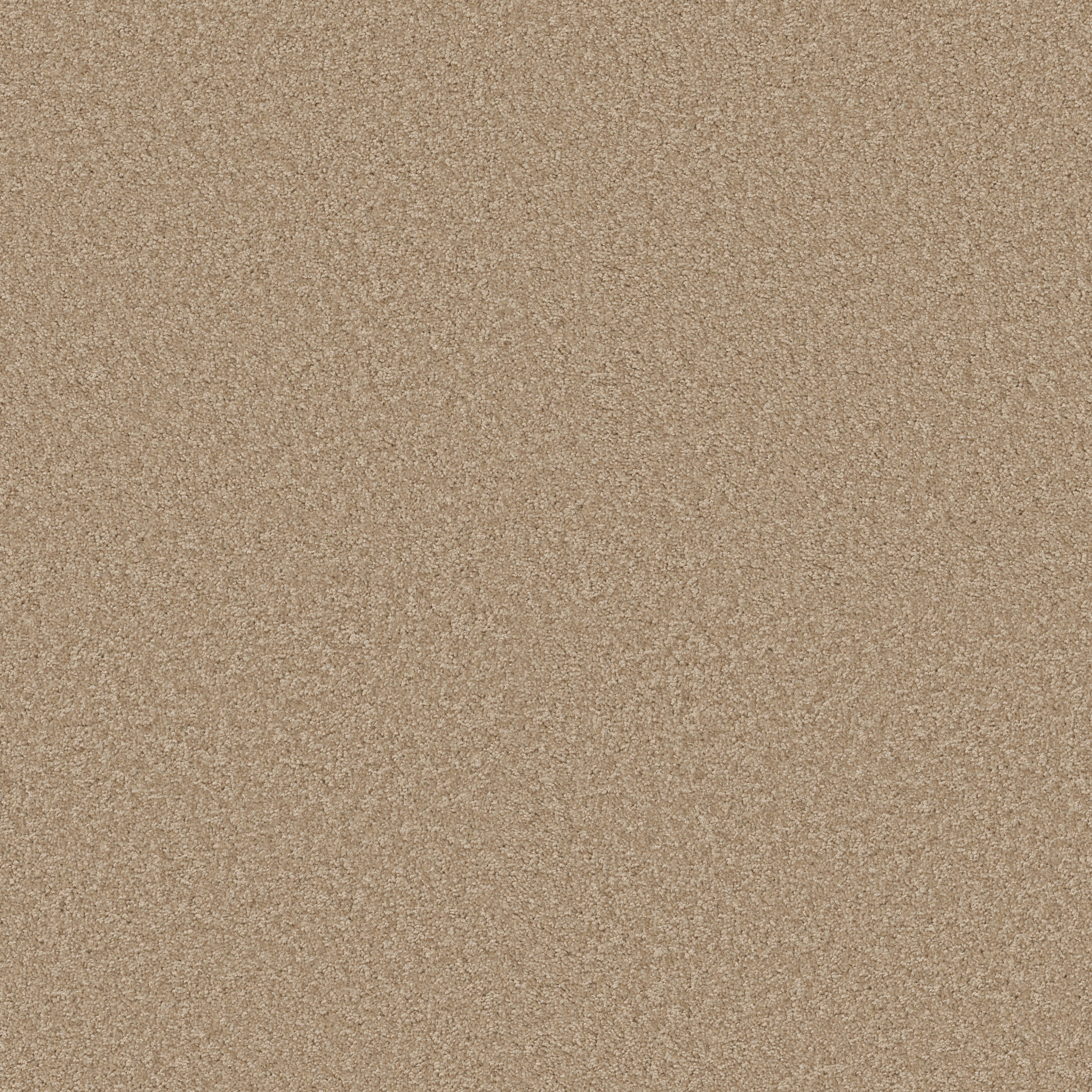 VITALIZE (S) 12' ABSTRACT MAIN