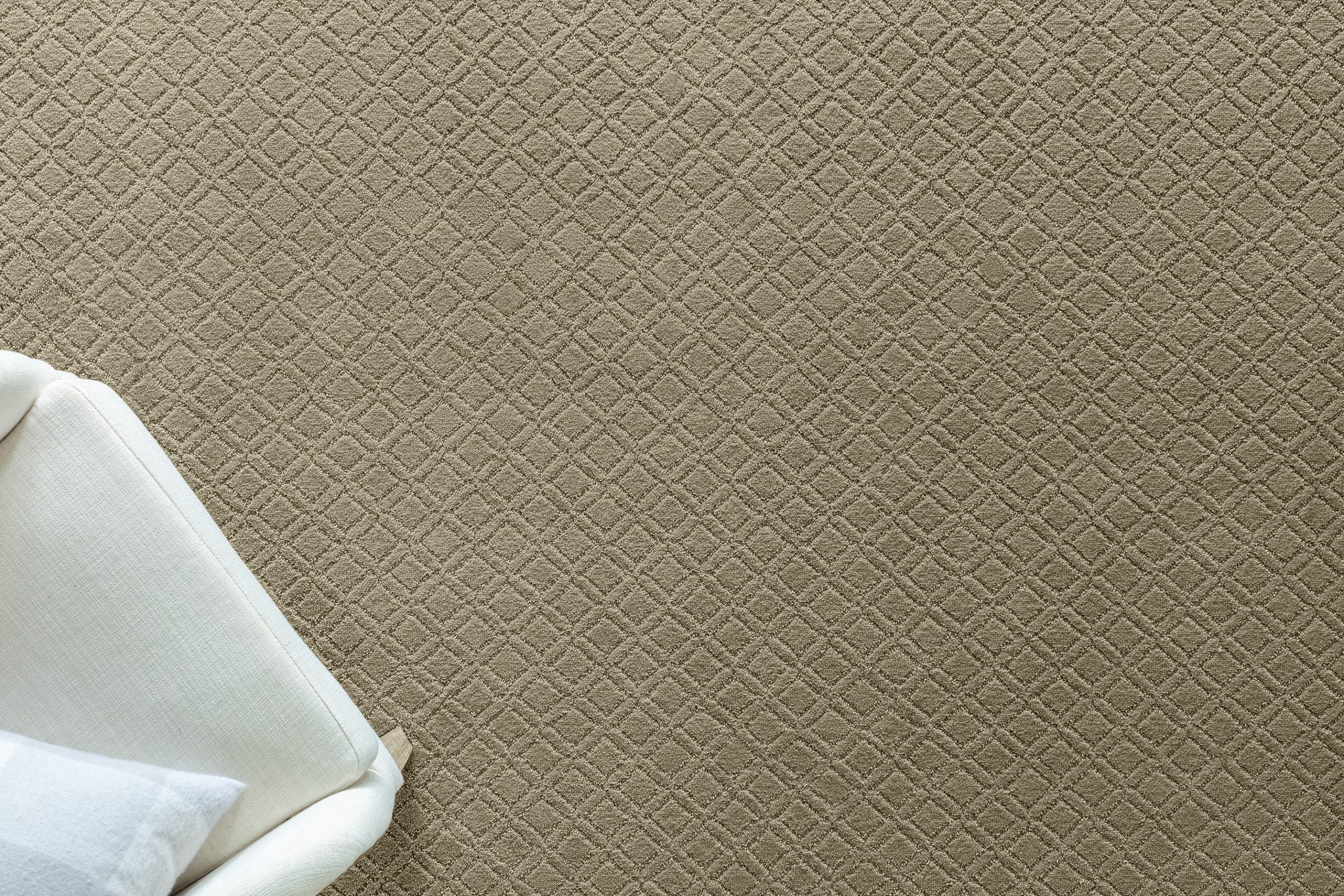 MUSE CORONADO StaticImage03