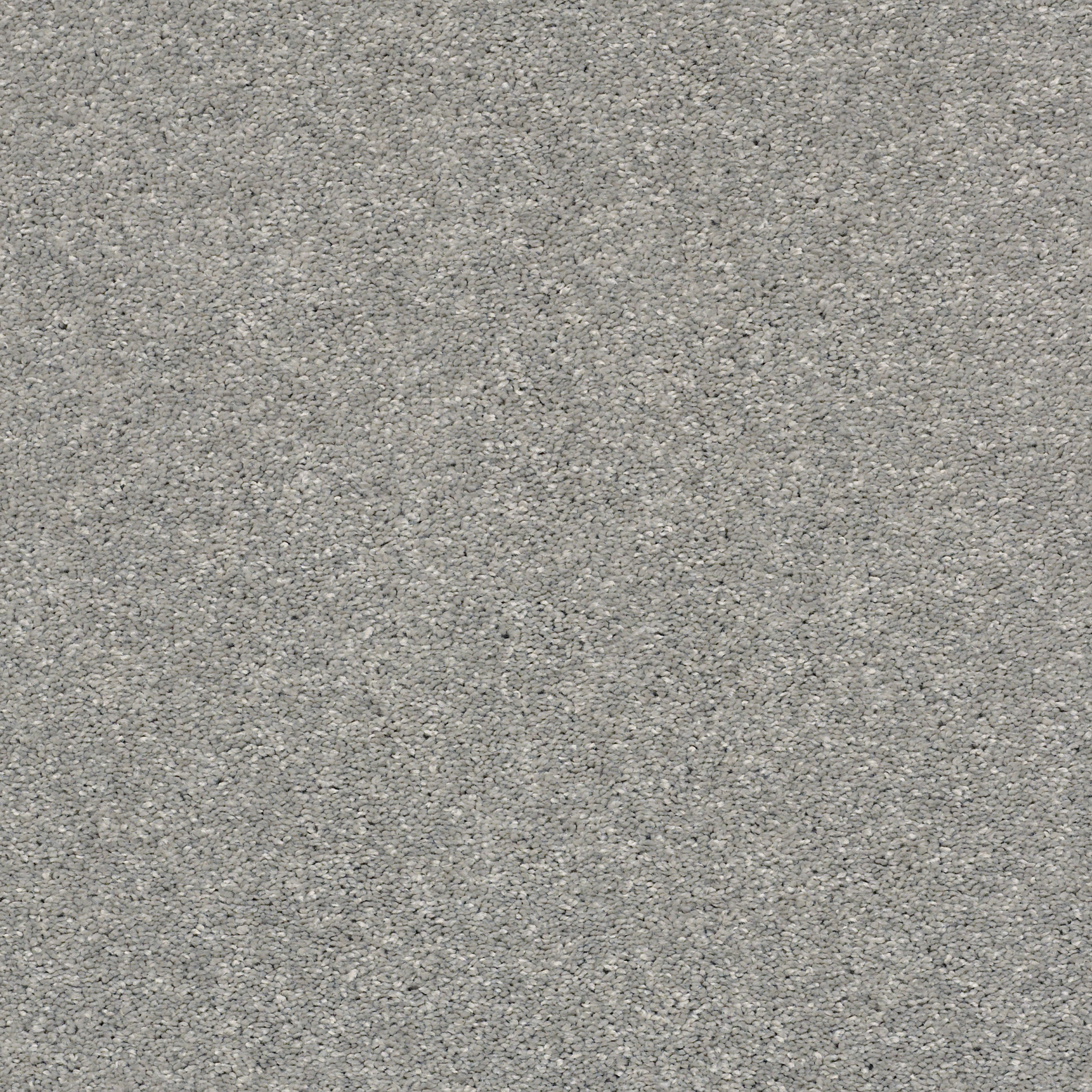 Shady Stroll - Greige Mist Carpet | Shaw Floors