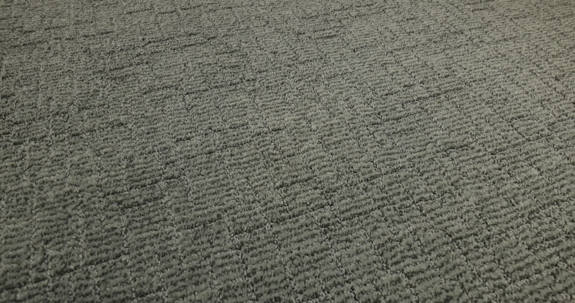 WAYFARER SHARKSKIN 360PROD