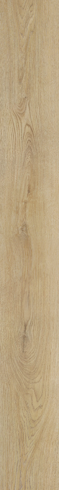 SADDLE OAK 1TO1