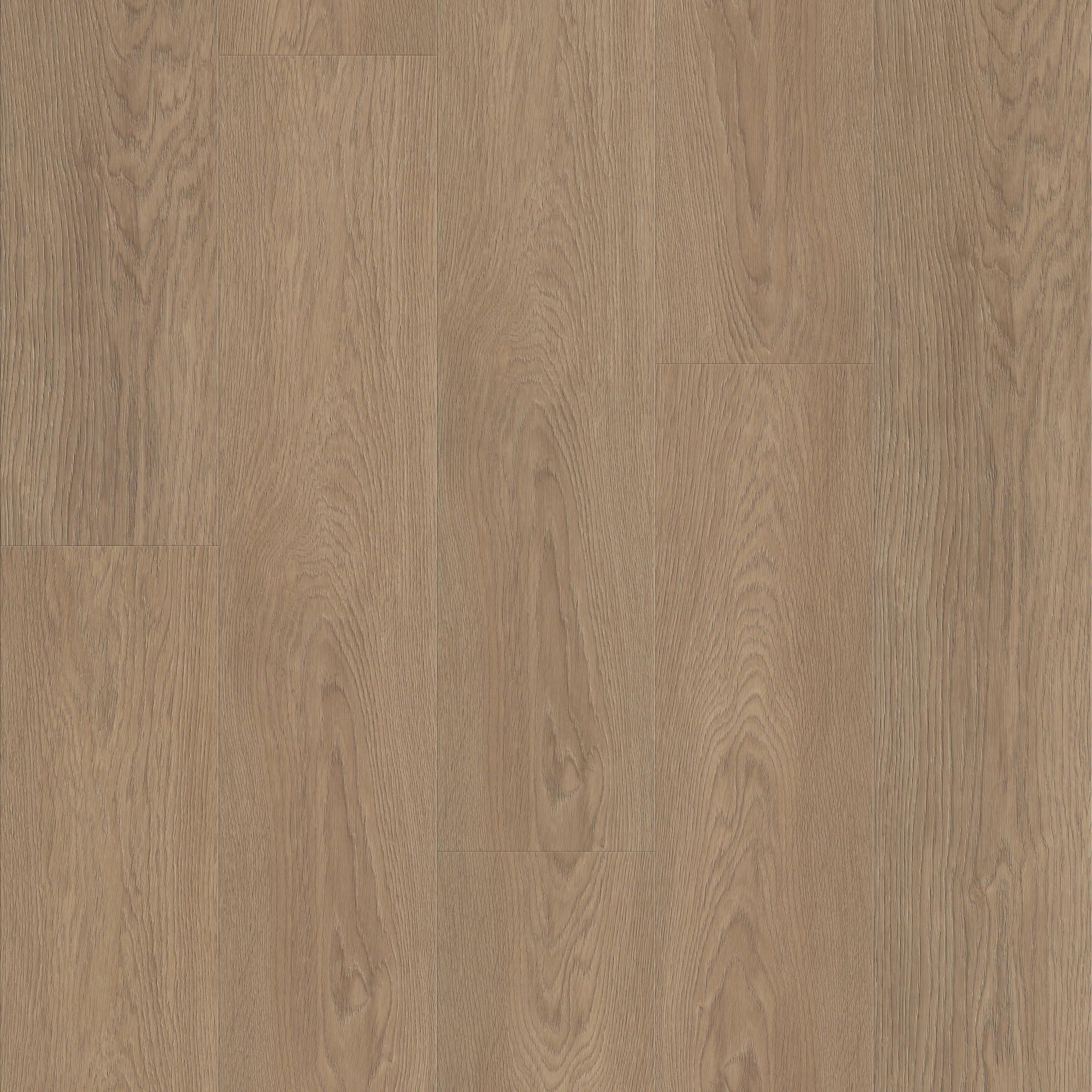 Fresh Take - in Wingback Brown | Shaw Floors