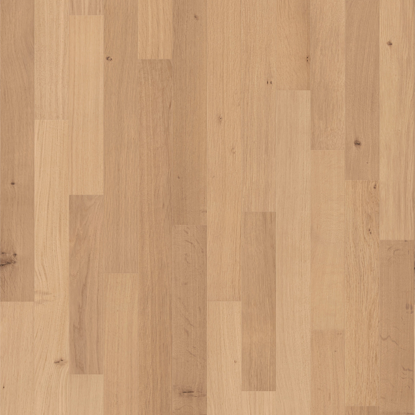 Natural White Oak swatch