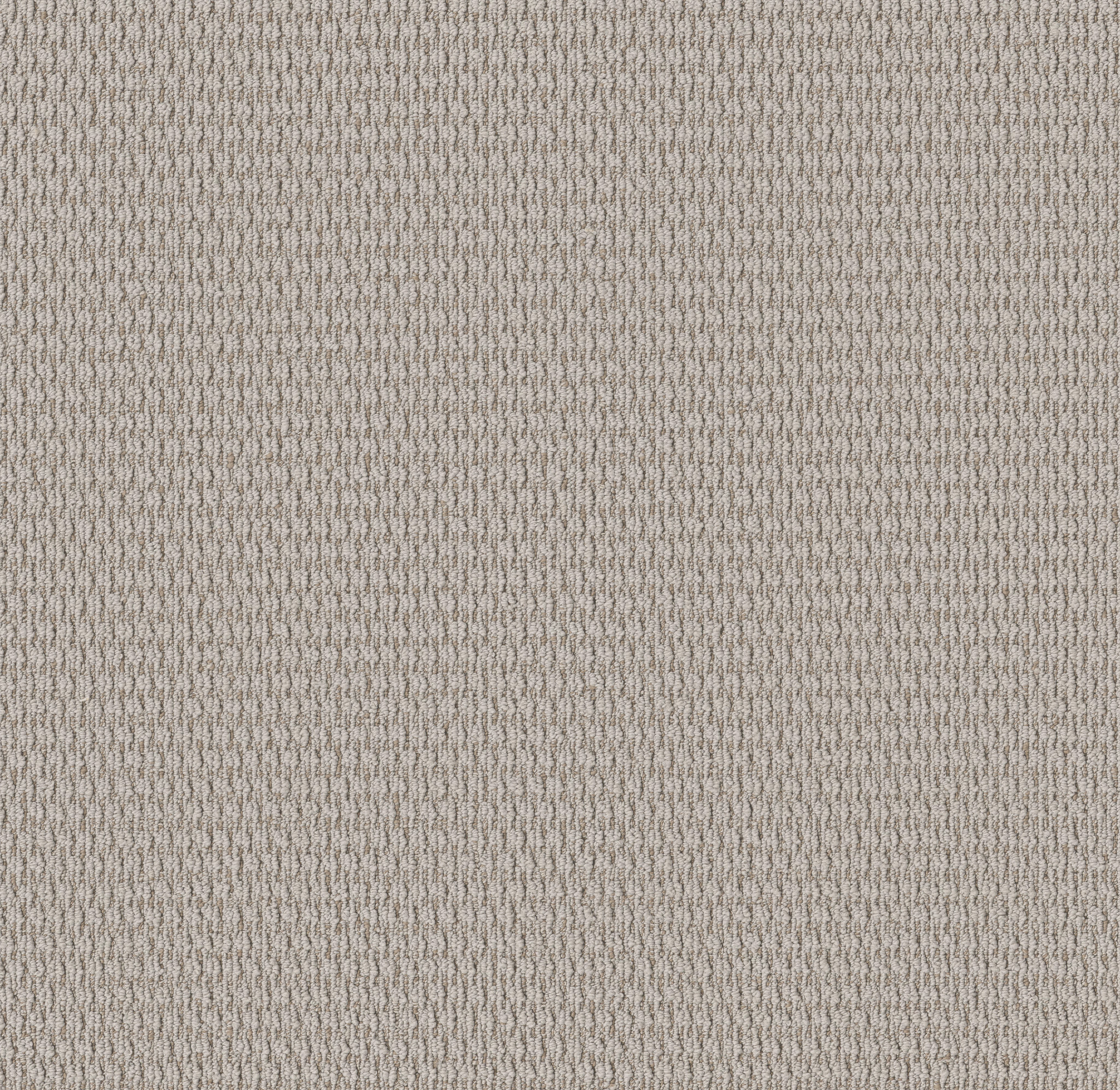 COZY EMBRACE PLATINUM MAIN