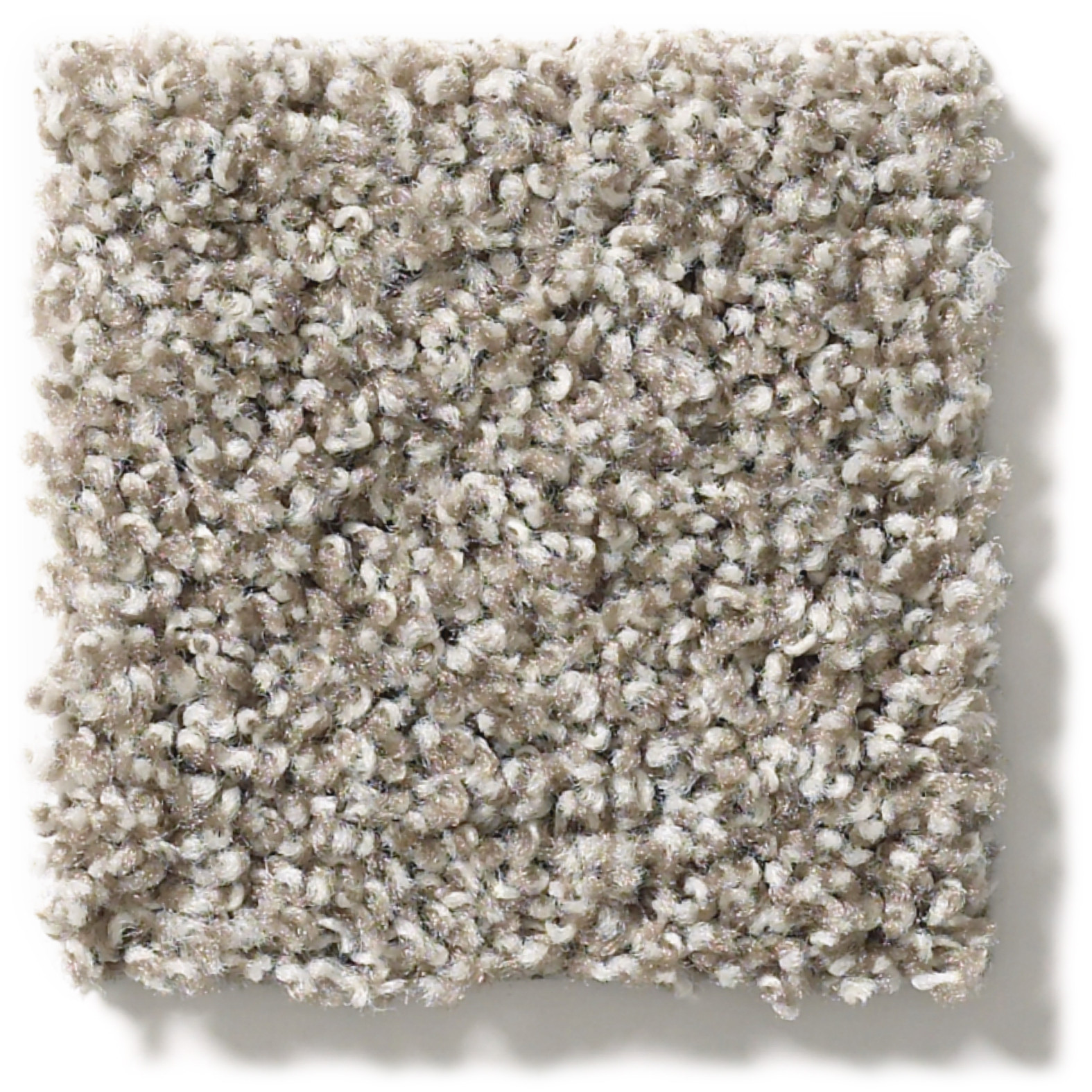 POISED STUDIO LOFT SWATCH