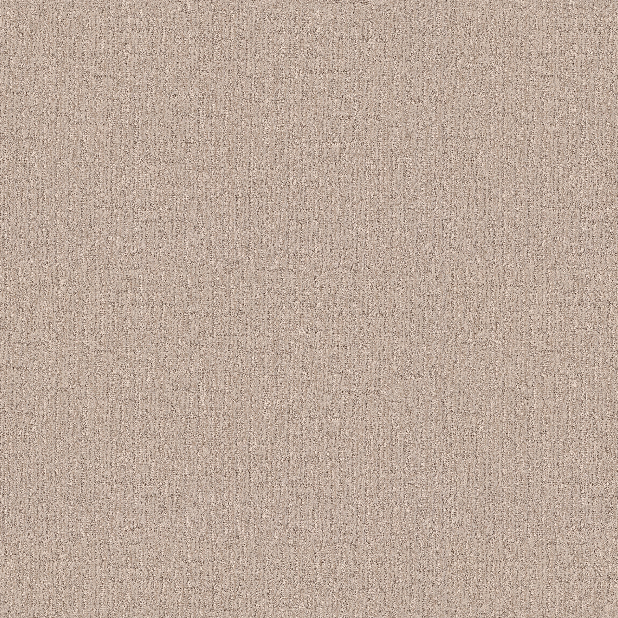 WANDERER SUNLIGHT MAIN