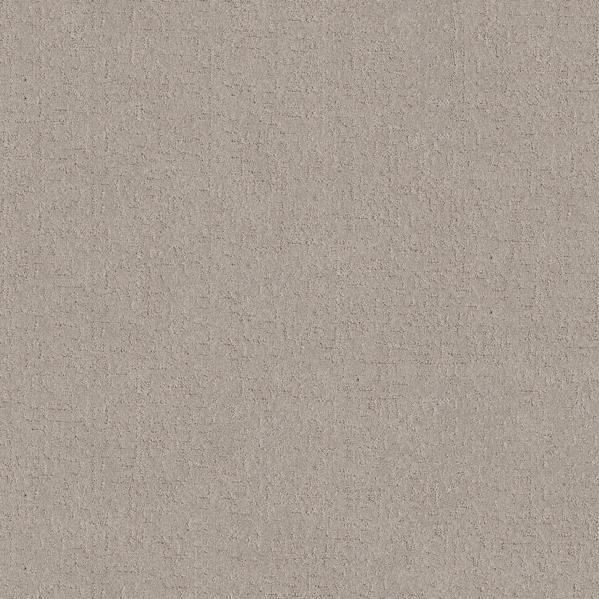 SECRET DESTINATION CHIC TAUPE MAIN