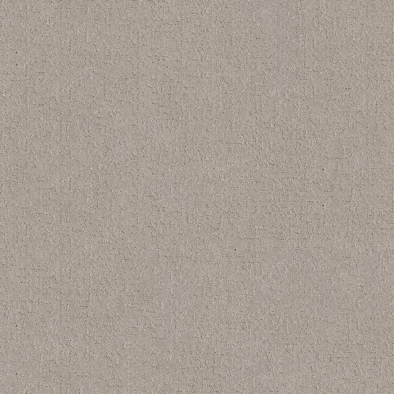 SECRET DESTINATION in Chic Taupe by Shaw Floors