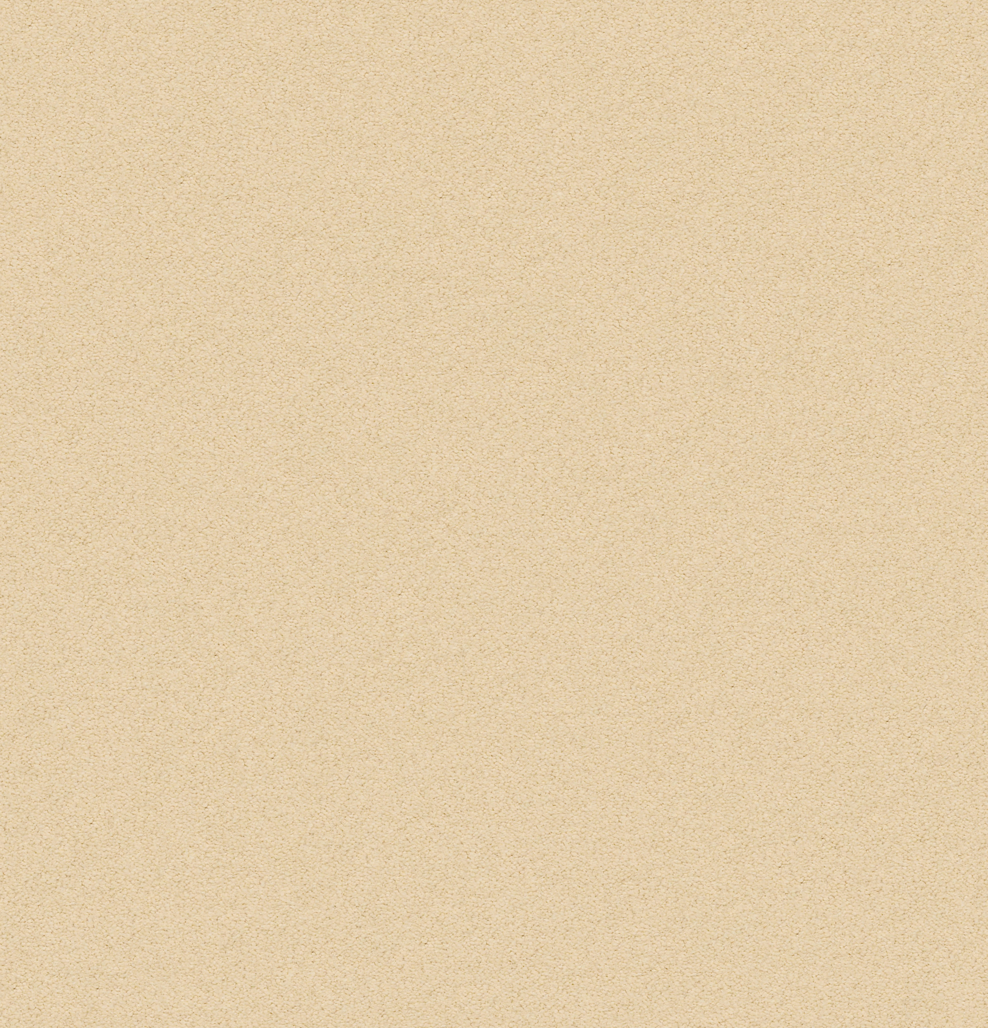 PERFECT CHOICE GOLDEN MAIN