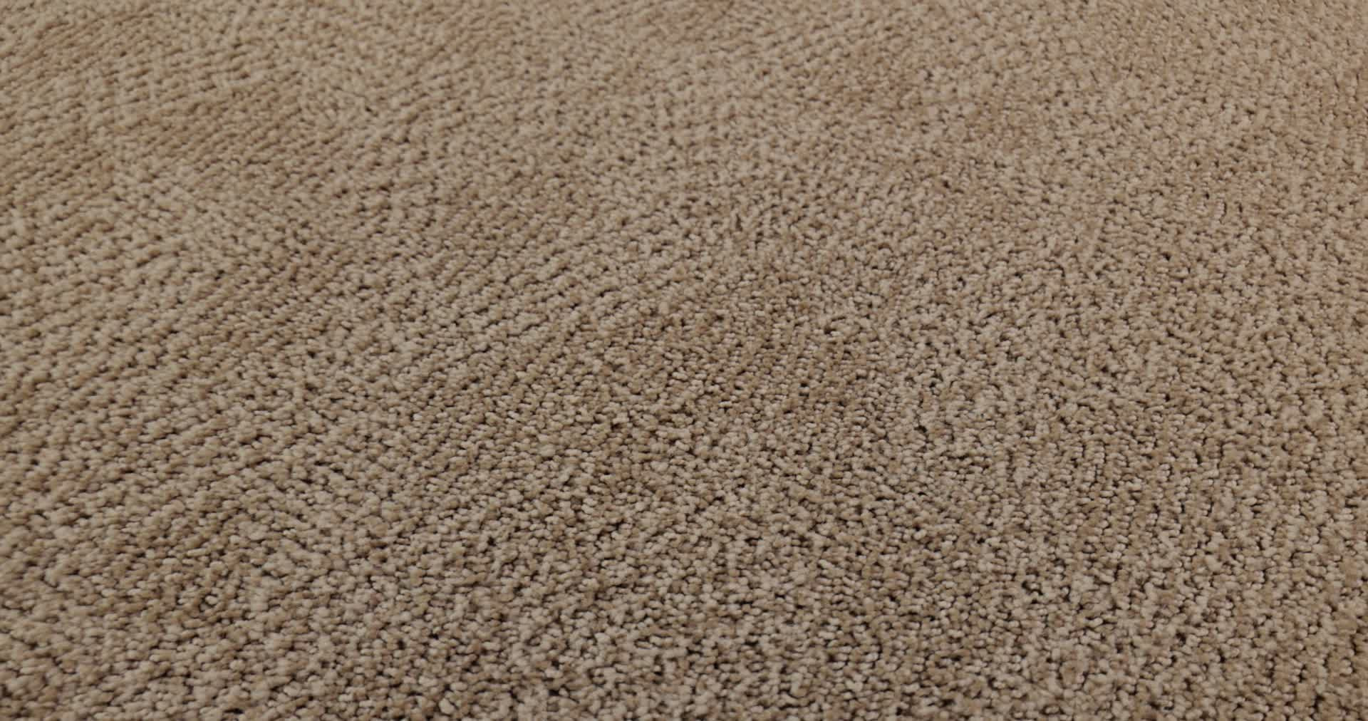 ARIO COASTAL HOME 360PROD