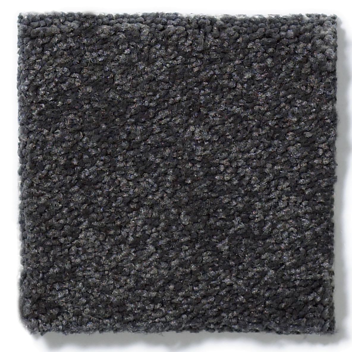 SANDY HOLLOW CLASSIC I 12' DUTCH BOY SWATCH