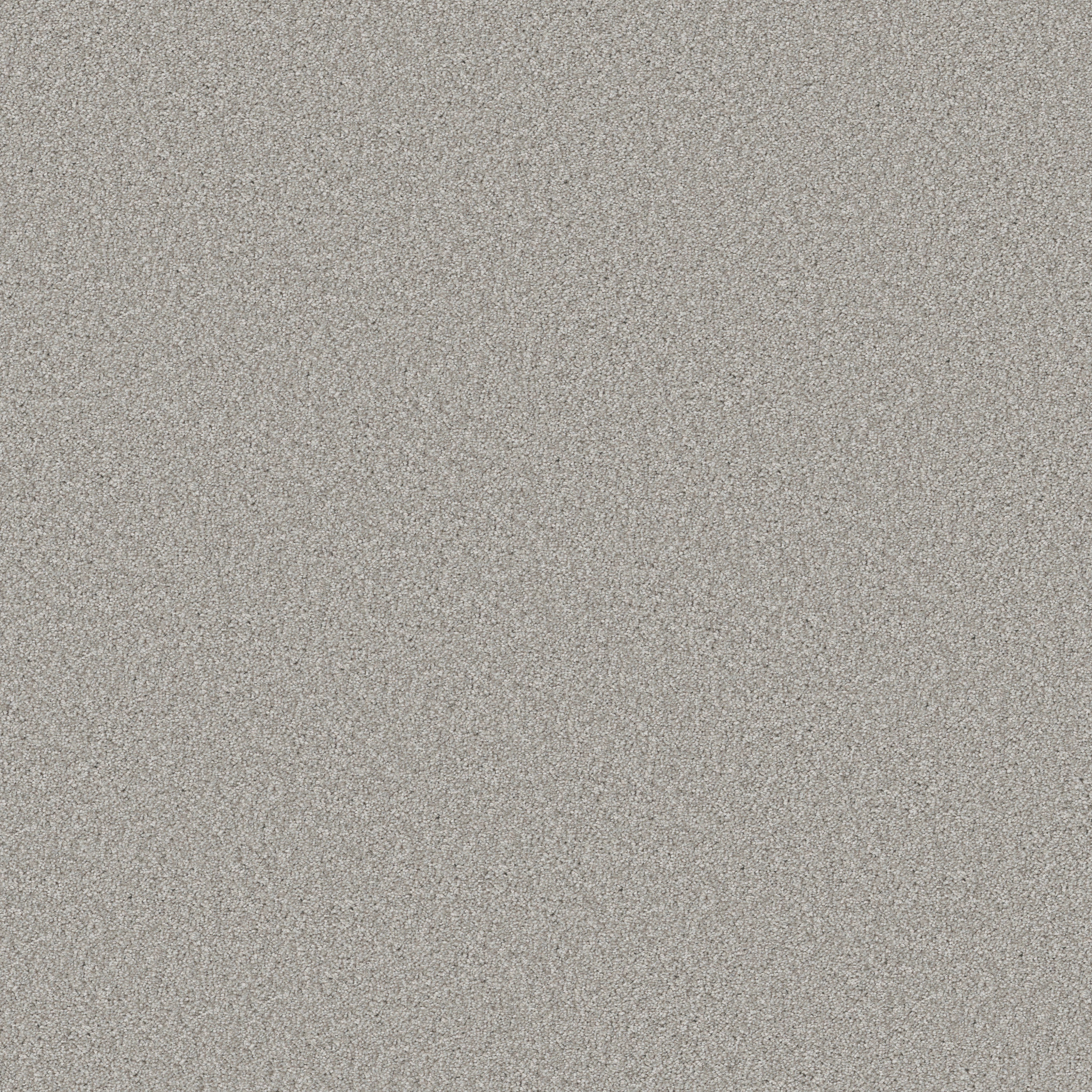 GOOD MOVE II ECRU MAIN