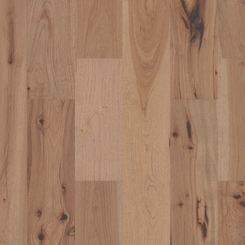 REFLECTIONS HICKORY in Luminous by Shaw Floors
