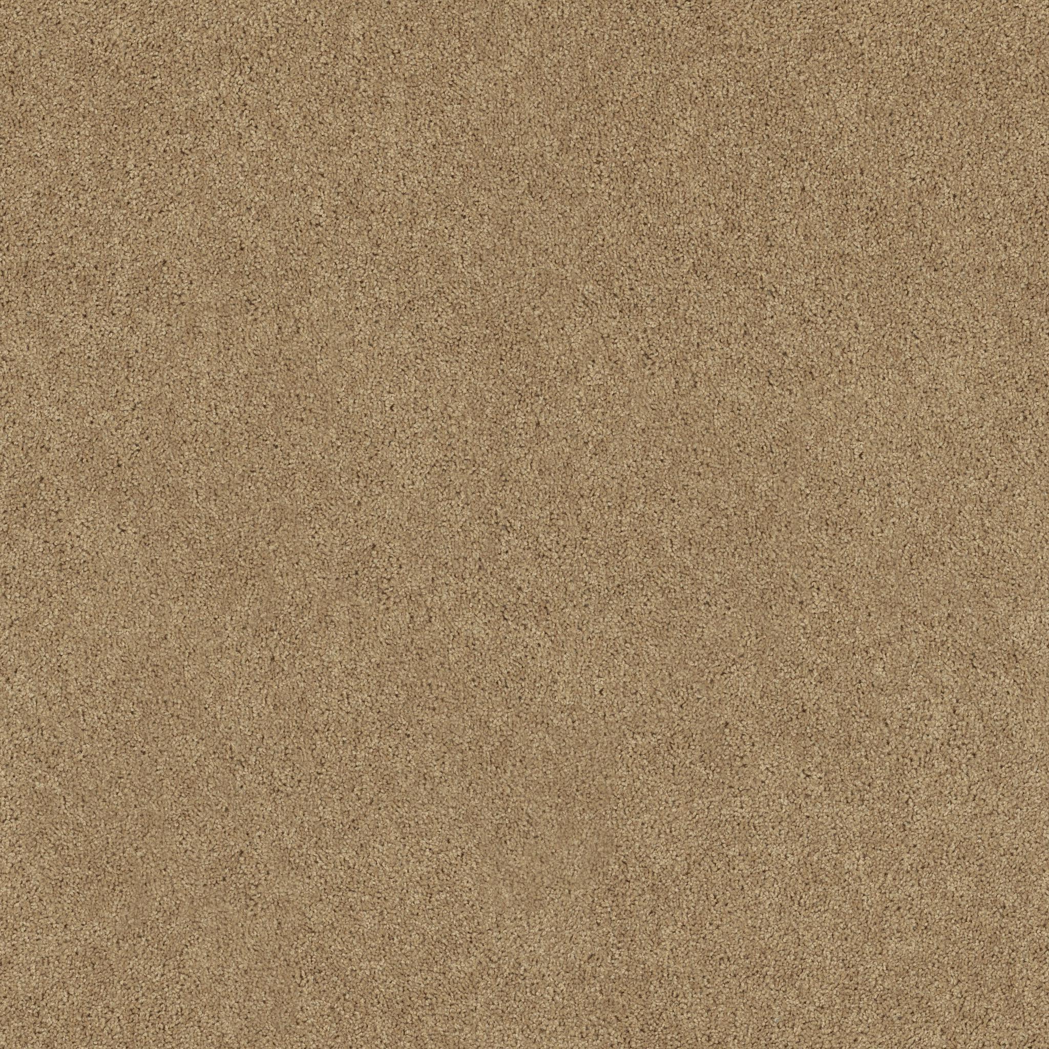 All Star Weekend I 15' by Shaw Floors