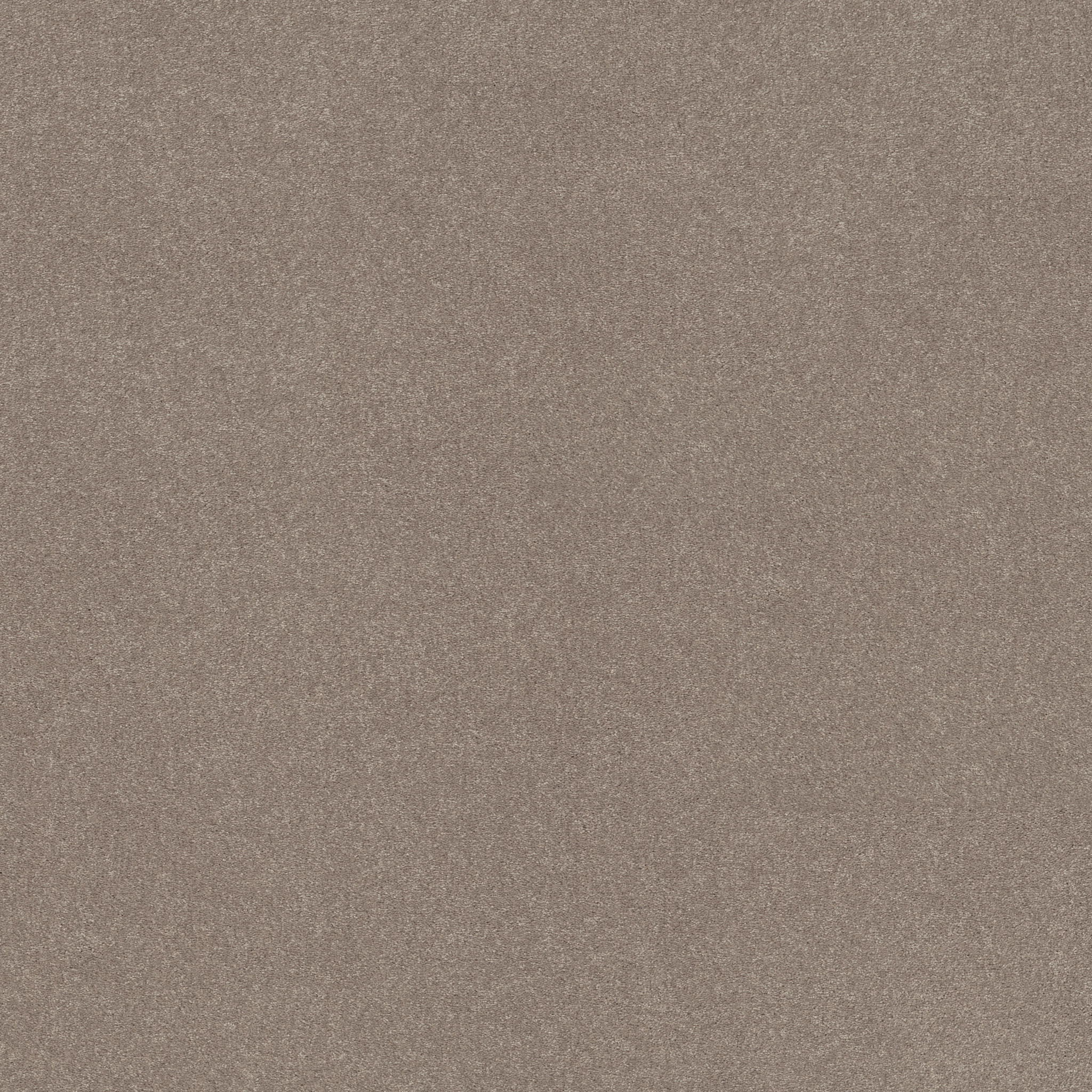 EASY SPIRIT III 12' TREEBARK MAIN