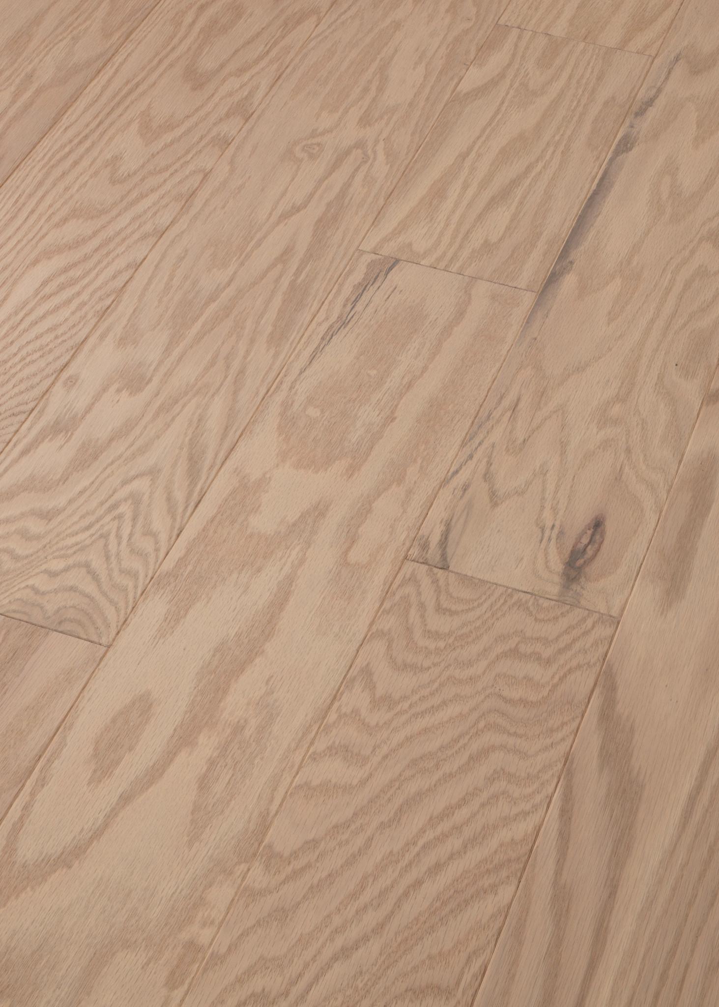 ALBRIGHT OAK 5 BISCUIT LG ANGLED