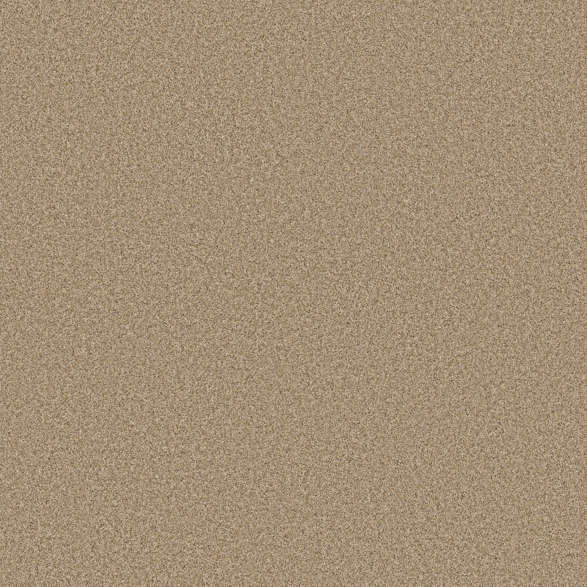 FABULOUS GOLDEN MAIN