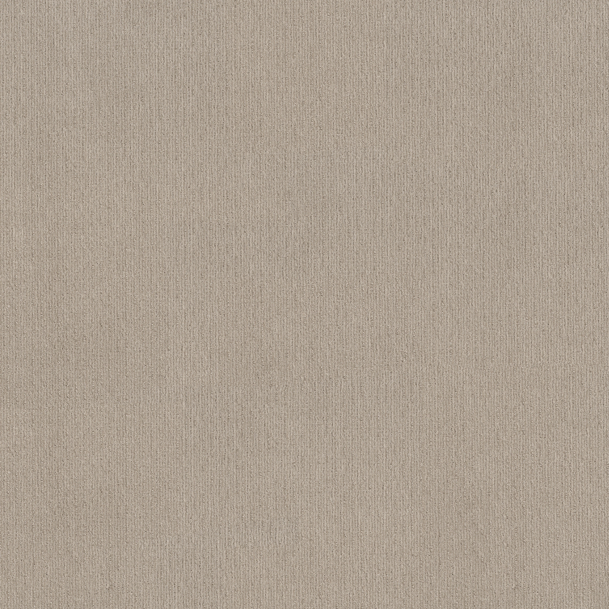 INSIGHTFUL WAY STUDIO TAUPE MAIN