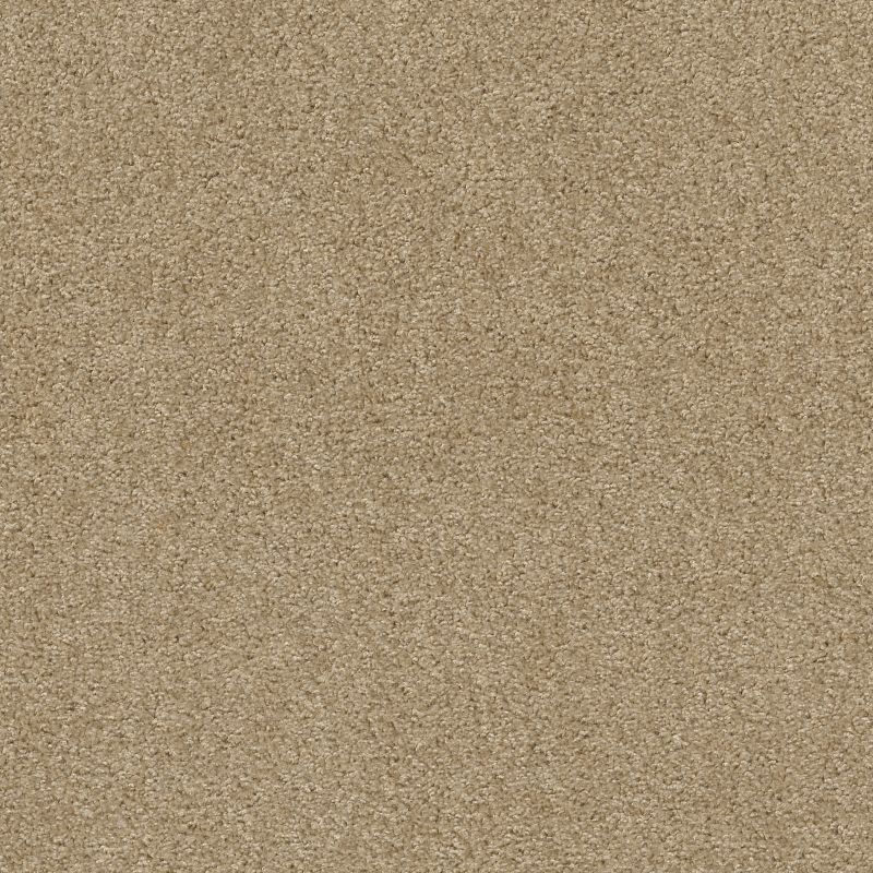 Play Hard Broadloom Carpet in Sand Pebble color, 12ft width, 100% nylon material
