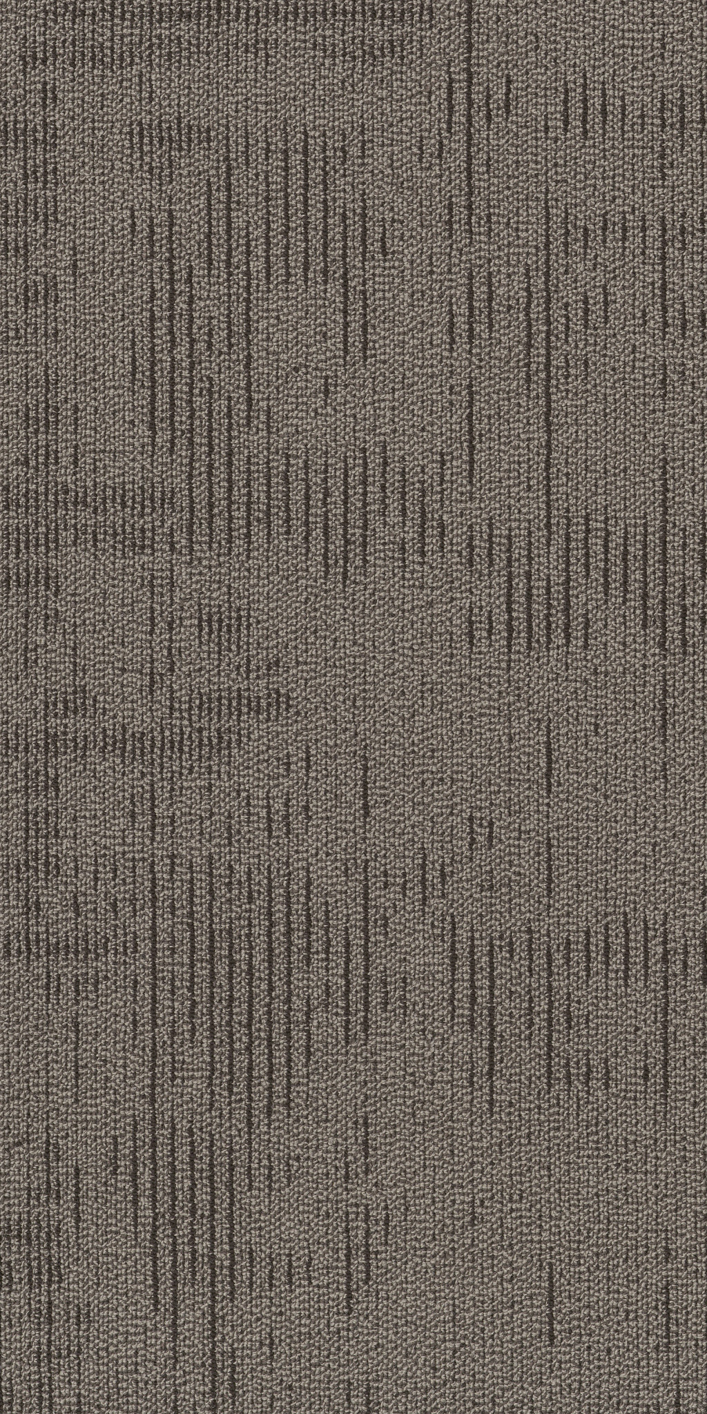 CURIOUS-WONDER-54940-ASTONISHMENT-40710-main-image