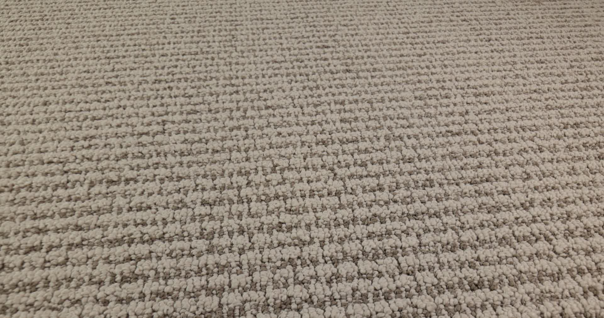 LAINE BOARDWALK 360PROD