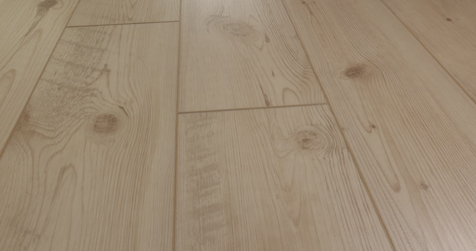 ALLEGIANCE + ACC GALLERIA PINE 360PROD