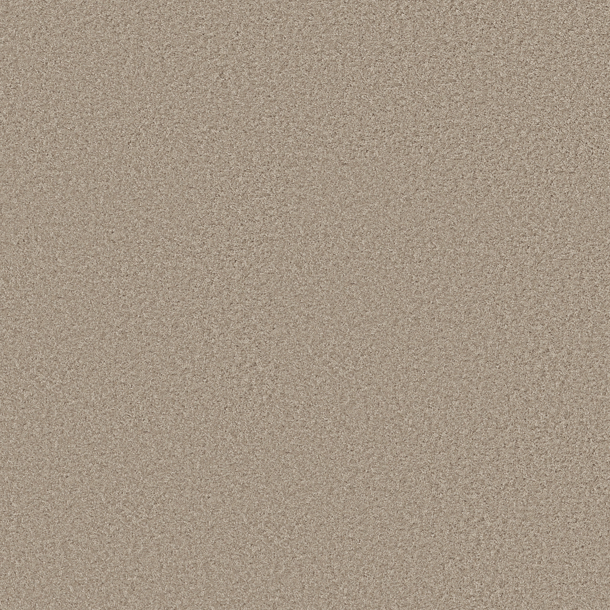 MAKE IT YOURS (S) ABALONE MAIN