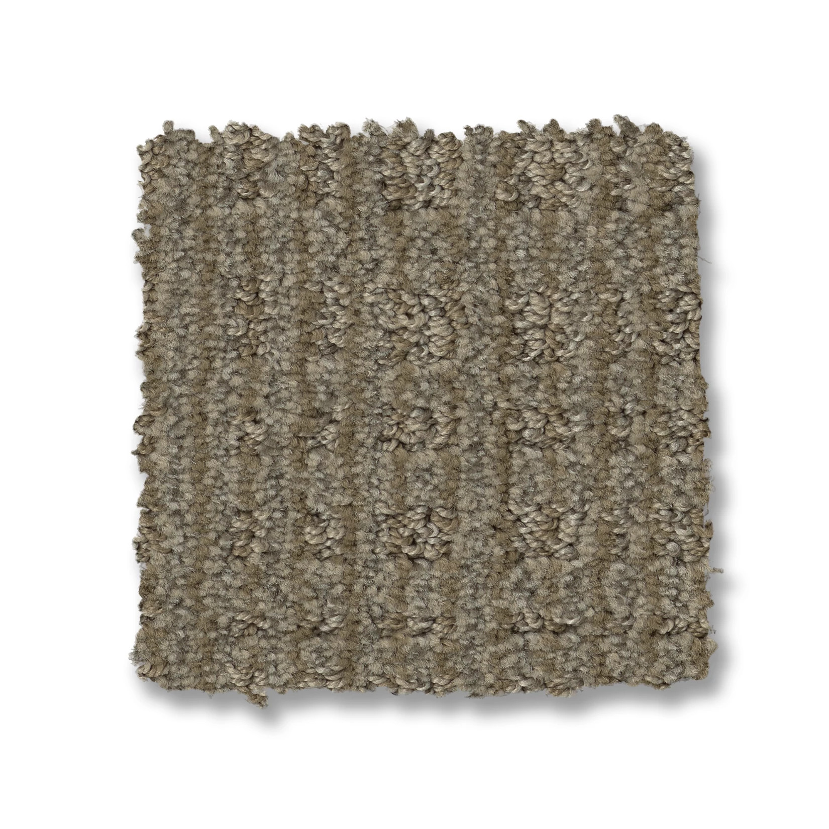 PURRSUASION URBAN JUNGLE SWATCH