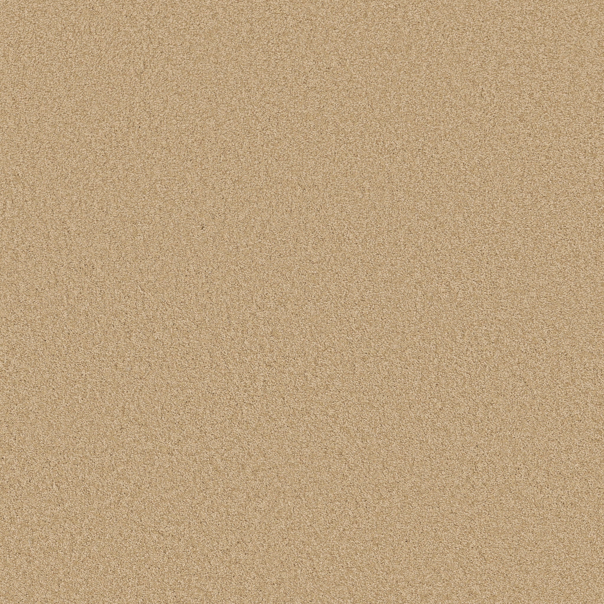 ENDLESS EVENING III BLONDE CASHMERE MAIN