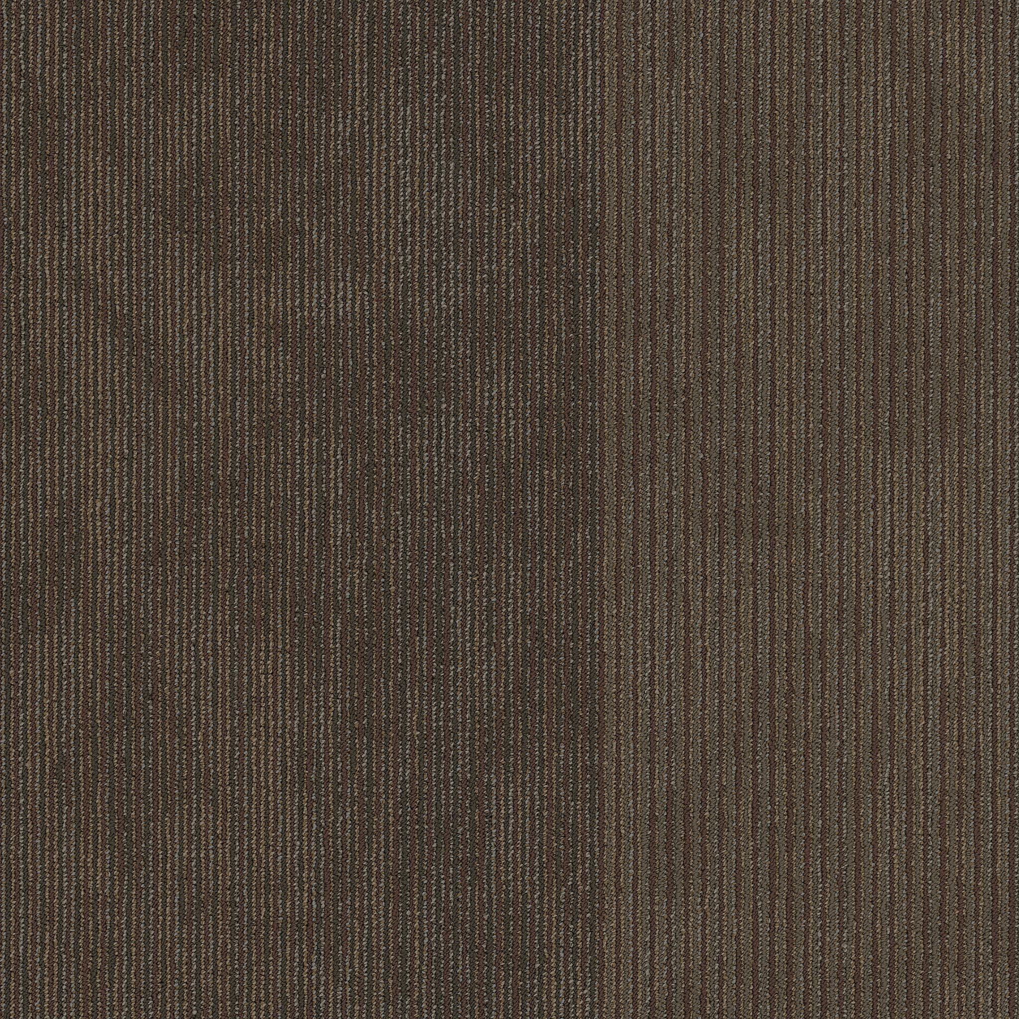 DISCLOSE-54905-REPORTED-00706-main-image