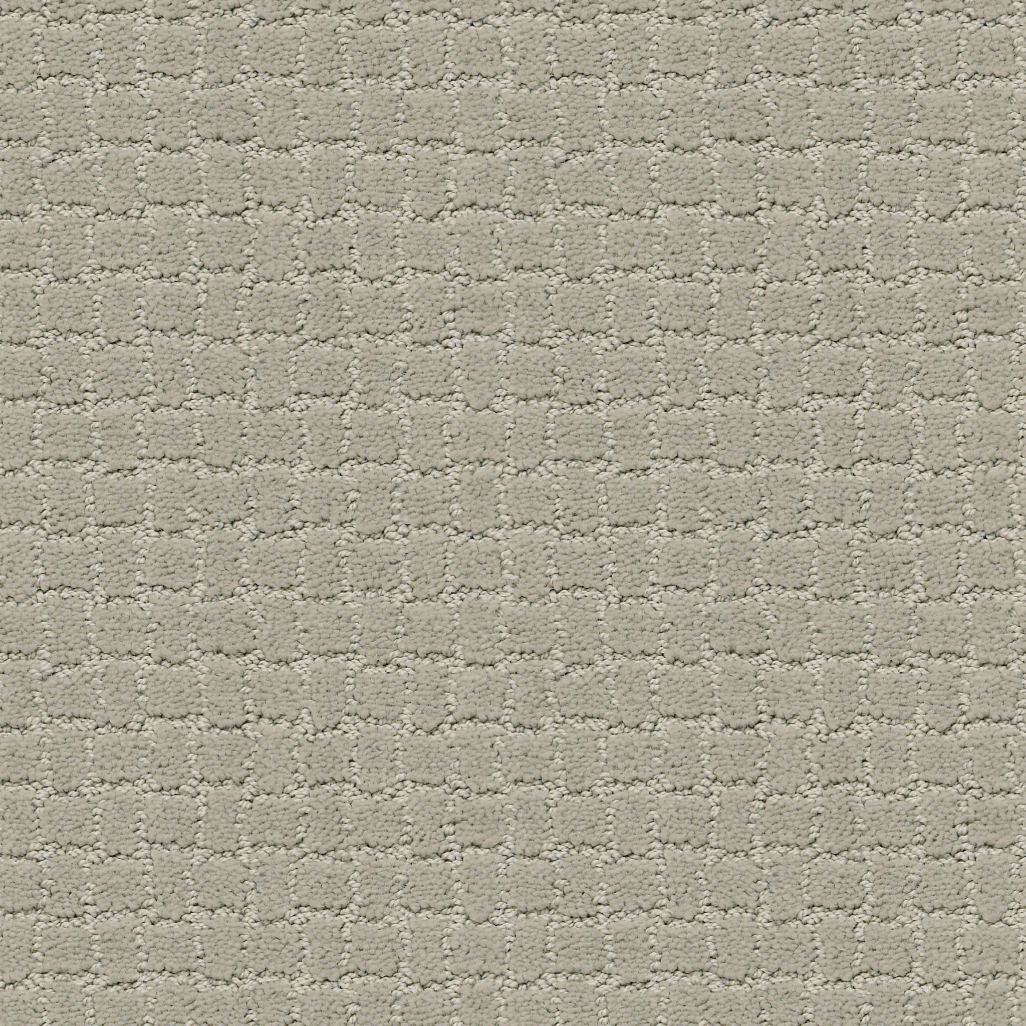 PAWSTRUCK MEDITATION MAIN