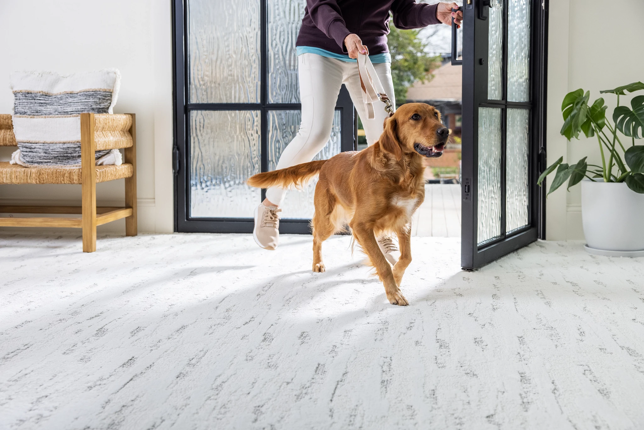 Modern living room with a light textured flooring, featuring a person walking a golden retriever through a glass door
