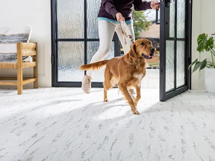 Light Textured Flooring in Modern Living Room with Dog and Glass Door Modern living room with a light textured flooring, featuring a person walking a golden retriever through a glass door
