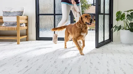 Light Textured Flooring in Modern Living Room with Dog and Glass Door Modern living room with a light textured flooring, featuring a person walking a golden retriever through a glass door