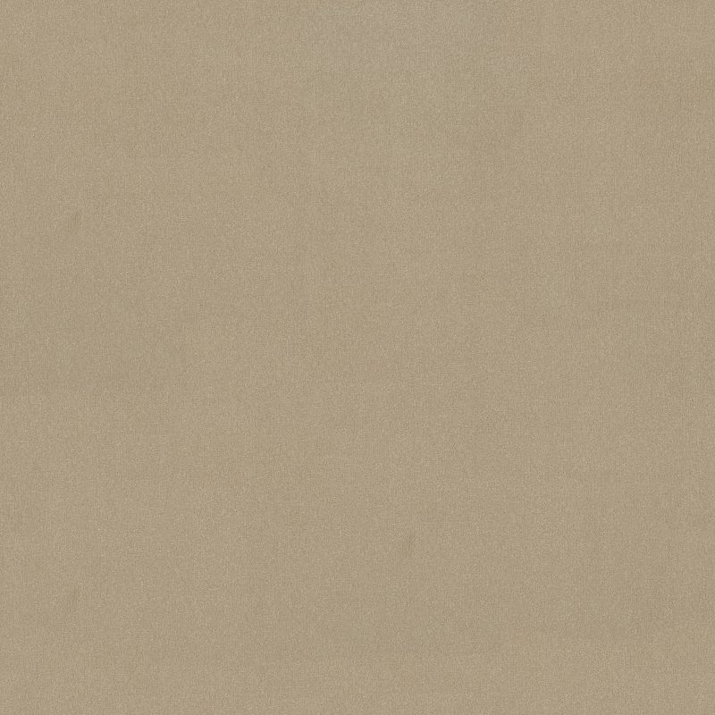 Emphatic II 36 Broadloom Carpet in Cajun color, 12ft wide, made of 100% nylon material